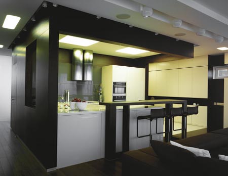 Дизайн современной кухни студии в квартире